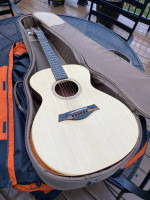 Taylor 12e