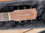 Fender PM-TE - HSC All Solid Woods