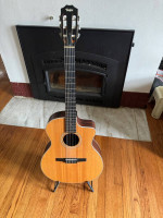 Taylor Nylon string guitar 214 ce-N