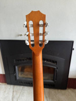 Taylor Nylon string guitar 214 ce-N