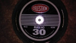 Celestion Relic 30 16 ohms 12" guitar speaker