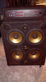 Bullfrog Alumapro Alumabass 4x10 w/Carvin R1000