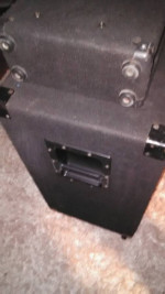 Bullfrog Alumapro Alumabass 4x10 w/Carvin R1000