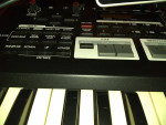 Hammond SKX