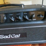 Bad Cat Hot Cat head 2023