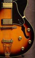 Epiphone Joe Pas Emperor ll