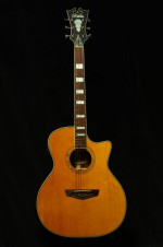 D'Angelico Premier