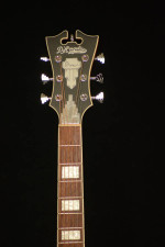 D'Angelico Premier
