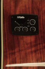 D'Angelico Premier