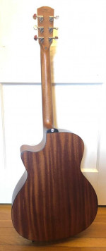 Acoustic-Electric Guitar