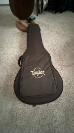 Taylor GT Urban Ash