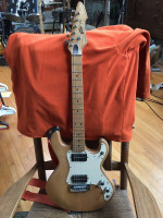 Peavey T15