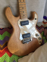 Peavey T15