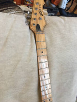 Peavey T15