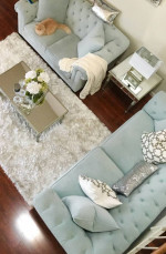 Martha stewrt Sofa and love seat