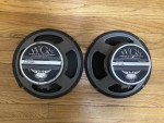 Warehouse Veteran 30 Guitar Speaker Pair