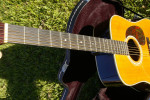 Recording King RD127 Herringbone D28 all solid