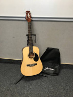 Jasmine Acoustic Guitar
