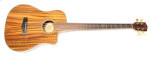 Fender VB-NAT Victor Bailey Signature Edition Acoustic/Electric Bass G