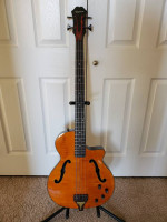 Epiphone Zenith Bass w/ Professional Set-Up & Thomastik Jazz Flats