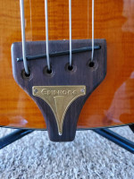 Epiphone Zenith Bass w/ Professional Set-Up & Thomastik Jazz Flats