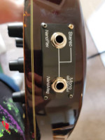 Epiphone Zenith Bass w/ Professional Set-Up & Thomastik Jazz Flats