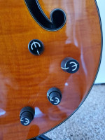 Epiphone Zenith Bass w/ Professional Set-Up & Thomastik Jazz Flats