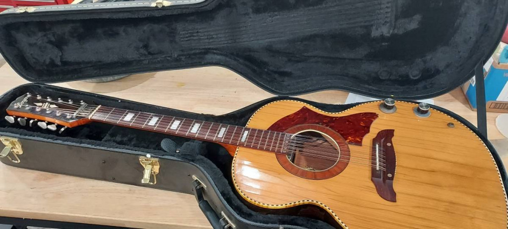 Arnold Hoyer Acoustic Electric12 String