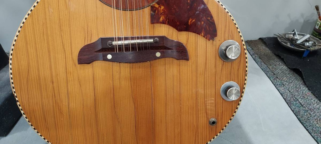 Arnold Hoyer Acoustic Electric12 String