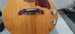 Arnold Hoyer Acoustic Electric12 String