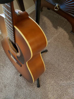 Seagull Entourage Mini Jumbo Rustic