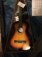 Guitar for a beginner learners