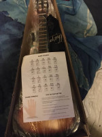 Guitar for a beginner learners