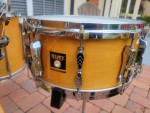 Mapex Maple Orion Drums / Trade