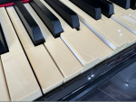 Suzuki HG-425e Digital Piano