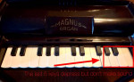 Magnus Organ (the last four keys depress, but don’t make any sound.)