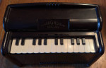 Magnus Organ (the last four keys depress, but don’t make any sound.)