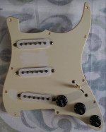 Loaded Pickguards for electric guitars
