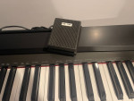 Casio Privia PX-135 88 Weighted Key Piano