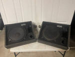 Sonic 15" Wedge Monitors/speakers