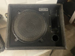 Sonic 15" Wedge Monitors/speakers