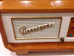 1960's Farfisa Electric Pianorgan