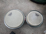 conga bongo cowbell piano lessons