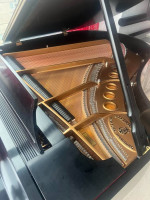 Steinway Piano, Grand Model M, Refurbished by Steinway in 2020