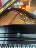 Steinway Piano, Grand Model M, Refurbished by Steinway in 2020