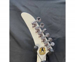 Gibson USA Limited Edition Jason Hook Explorer