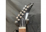 Gibson USA Limited Edition Jason Hook Explorer