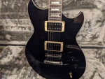 2020 Reverend Robin Finck Signature Electric Guitar