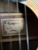 Acoustic guitar