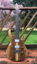 Custom Kiesel Aries 2021